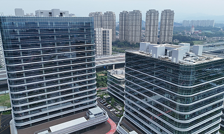 شركة تشجيانغ هونغهويوان للاستيراد والتصدير المحدودة.